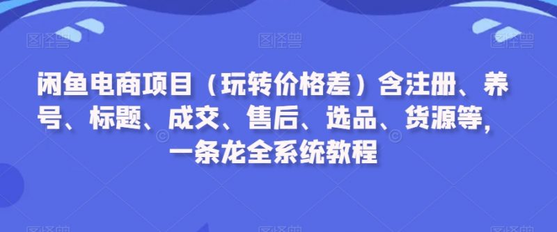 闲鱼电商项目（玩转价格差）含注册、养号、标题、成交、售后、选品、货源等，一条龙全系统教程_微雨项目网