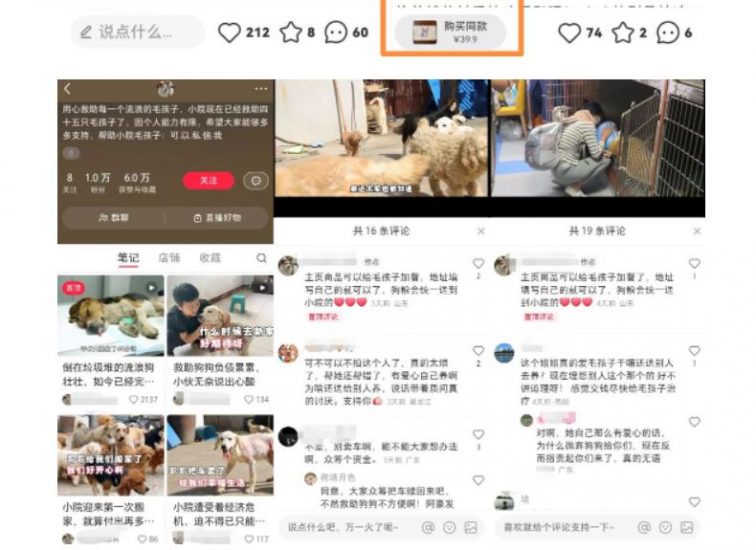 小红书蓝海类赛道:小动物打赏与购买变现副业项目,一条龙玩法分享给你!_微雨项目网