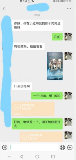 外边收费3980的同城萌宠项目，用最冷门的玩法冲击最热门的市场【揭秘】_微雨项目网