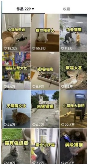 拆解抖音盘点类中视频变现副业项目，视频版一条龙大解析分享给你【视频课程】_微雨项目网