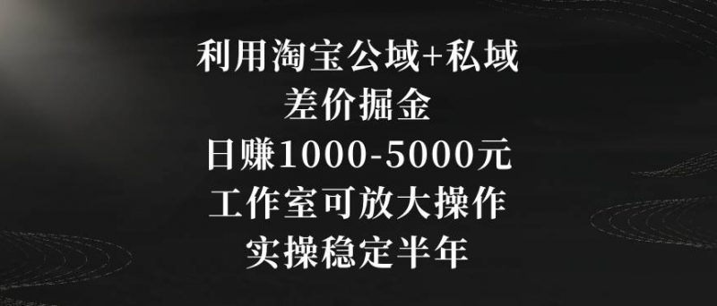 利用淘宝公域+私域差价掘金，日赚1000-5000元，工作室可放大操作，实操稳定半年【揭秘】_微雨项目网