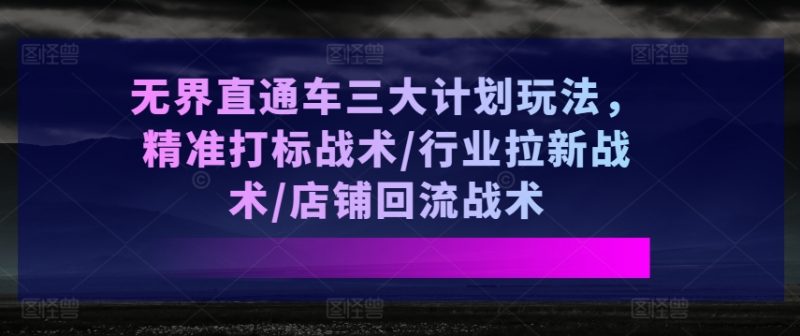 无界直通车三大计划玩法,精准打标战术/行业拉新战术/店铺回流战术_微雨项目网