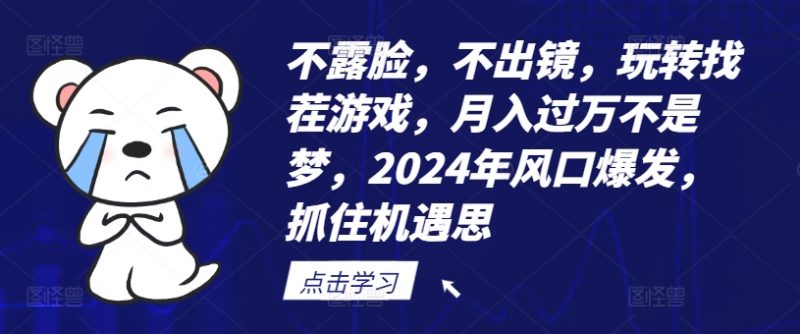 不露脸，不出镜，玩转找茬游戏，月入过万不是梦，2024年风口爆发，抓住机遇【揭秘】_微雨项目网