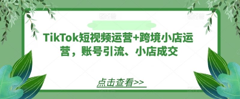 TikTok短视频运营+跨境小店运营,账号引流、小店成交_微雨项目网