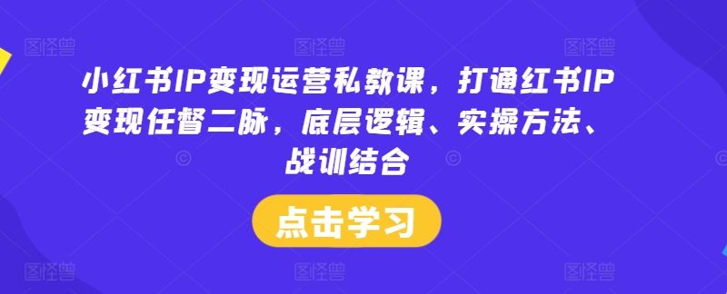 小红书IP变现运营私教课,打通红书IP变现任督二脉,底层逻辑、实操方法、战训结合_微雨项目网