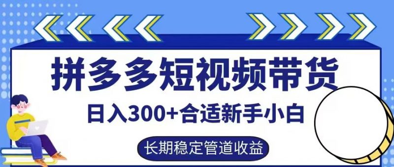 拼多多短视频带货日入300+有长期稳定被动收益，合适新手小白【揭秘】_微雨项目网