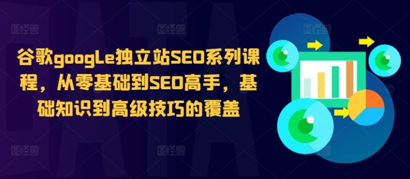 谷歌google独立站SEO系列课程，从零基础到SEO高手，基础知识到高级技巧的覆盖_微雨项目网