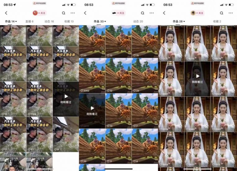 狗熊岭快手连怼技术，好物，涨粉都可以连怼_微雨项目网