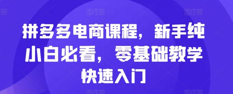 拼多多电商课程,新手纯小白必看,零基础教学快速入门_微雨项目网