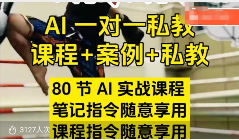 AI指令实战课，课程+案例，80节AI实战课程，笔记指令随意享用，课程指令随意享用_微雨项目网
