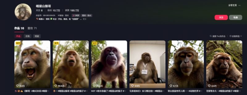 最新爆火的峨眉山猴子短视频制作教程，条条点赞10w+，谁做谁火【教程+提示词】_微雨项目网