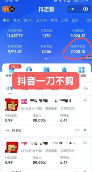 抖音短视频一刀不剪带货，不剪辑，不直播，每天发个视频，等着出单获取带货佣金_微雨项目网