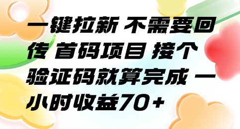 一键拉新 不需要回传 首码项目 接个验证码就算完成 一小时收益70+【揭秘】_微雨项目网