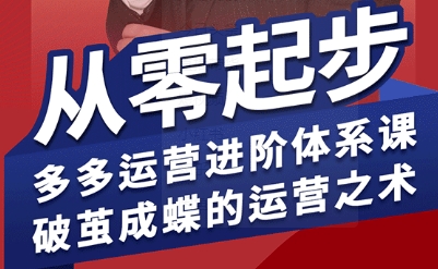 拼多多运营进阶系统课，从零起步，多多运营进阶体系课，破茧成蝶的运营之术_微雨项目网