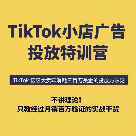 TikTok小店广告投放特训营，6天破局计划专治各种“投不动”，教你经过月销百万验证的实战干货_微雨项目网