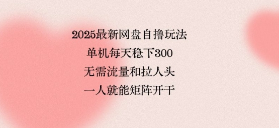 2025最新网盘自撸玩法，单机每天稳下3张，无需流量和拉人头，一个人就可轻松矩阵，全网独一份【揭秘】_微雨项目网