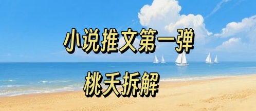 小说推文项目操作全流程第一弹,0粉就能做,门槛低非常适合新手_微雨项目网