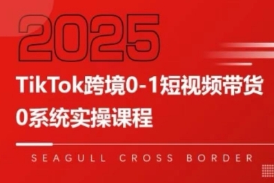 TikTok跨境0-1短视频带货,系统拆解TikTok跨境带货全链路,实现跨境可持续盈利_微雨项目网