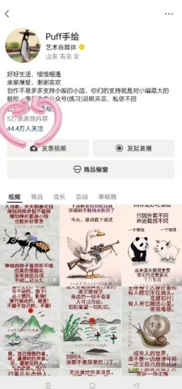 Puff手绘视频号分成项目，三天过分成计划，简单易上手，适合新手_微雨项目网