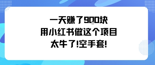 一天挣了9张用小红书做这个项目太牛了，空手套_微雨项目网