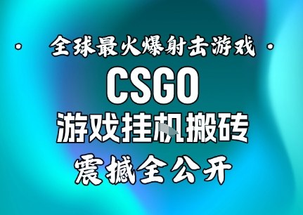 【年底大揭秘】基于全球最火爆的射击CSGO游戏挂G搬砖，日入5张+，震撼公开_微雨项目网