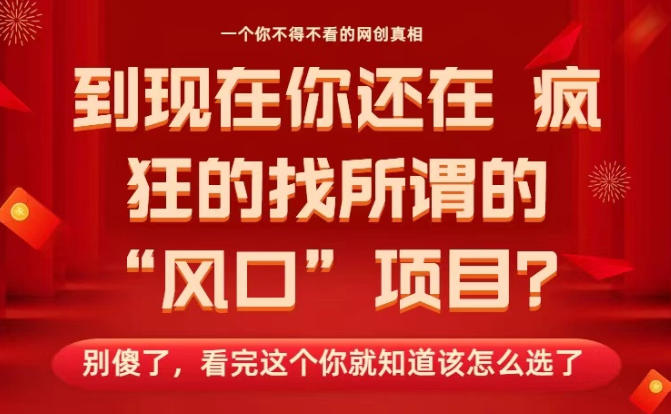 马上26年了，你还在找所谓的风口项目？别傻了，看完这个你全都懂了！【揭秘】_微雨项目网