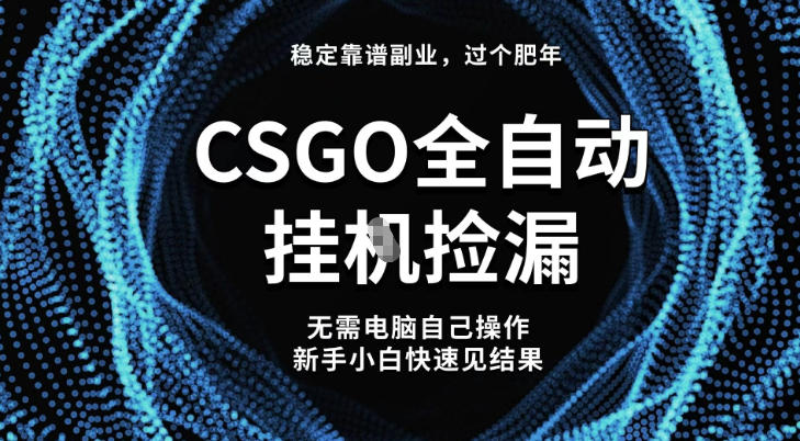 【稳定副业】全球最热门游戏CSGO全自动捡漏，最新玩法，新手小白日入5张+【揭秘】_微雨项目网